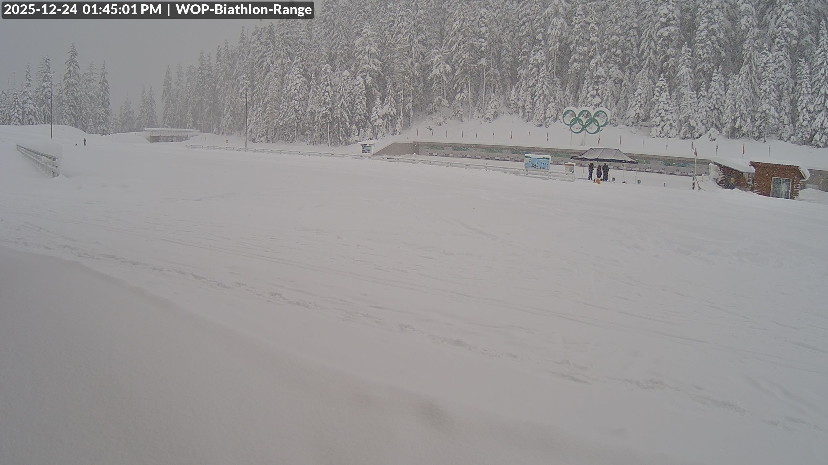 View looking North East to the Olympic Biathlon Range