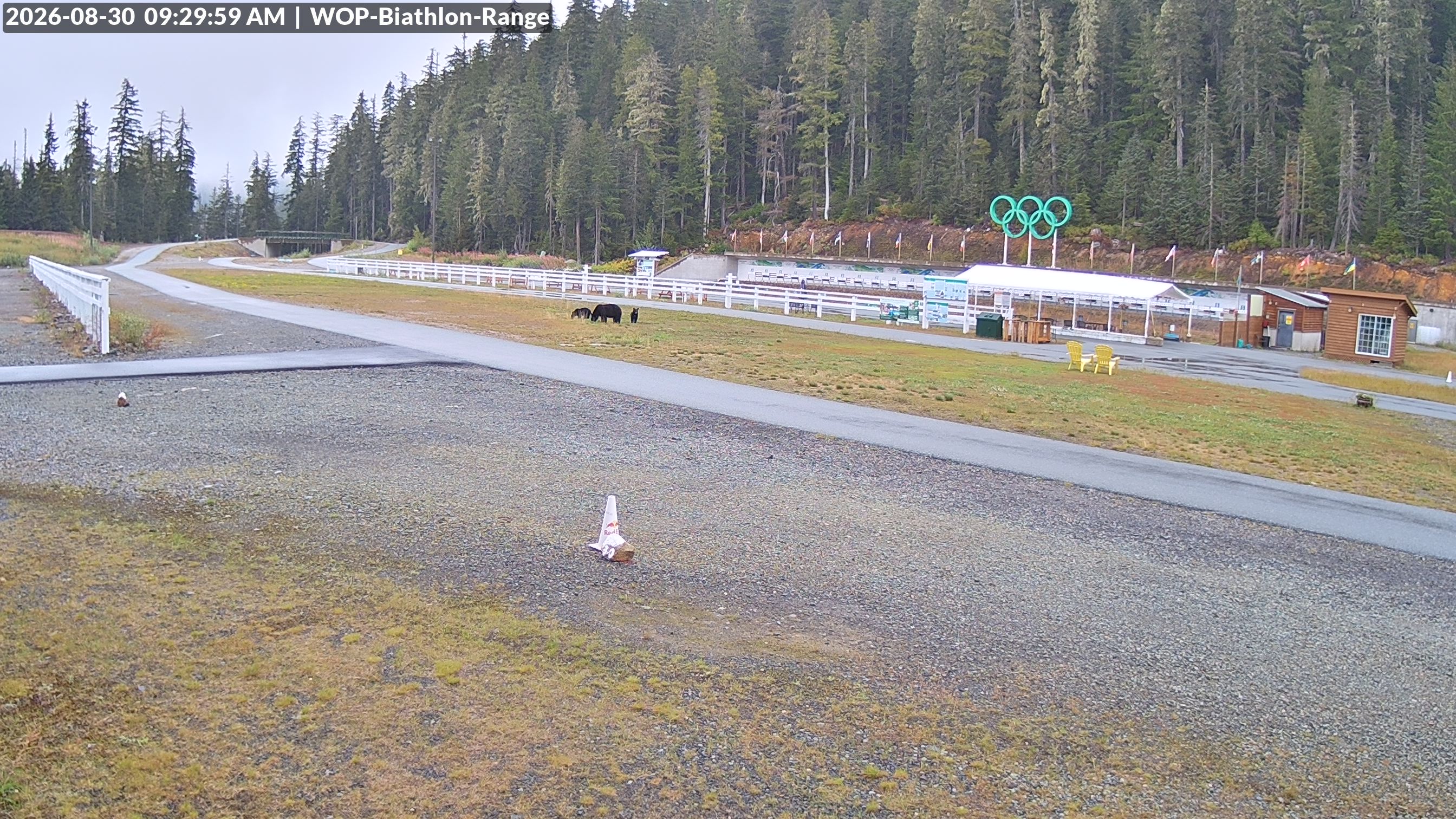 View looking North East to the Olympic Biathlon Range