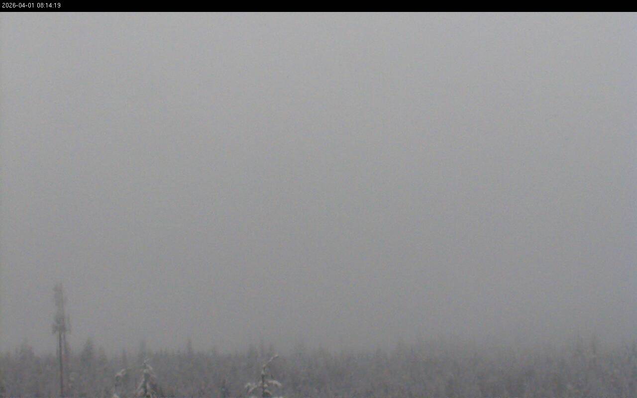 no thumbnail: click link in title